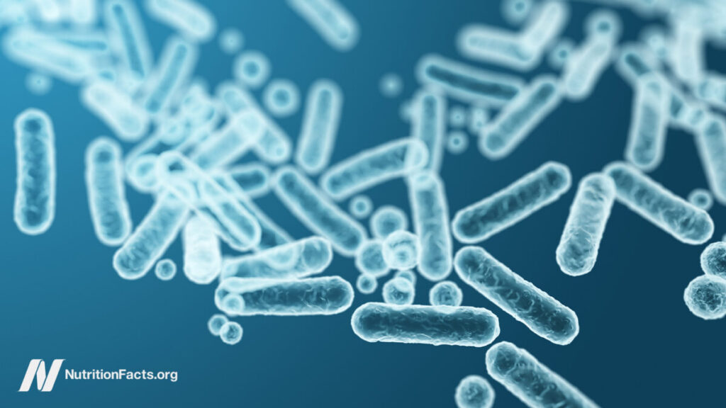 Feeding Our Gut Microbiome for Better Health